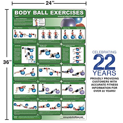 Laminated Body Ball Core Exercise Poster - Contains Many Core Muscle Exercises - Everyday Crosstrain