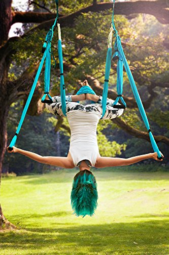 Yoga Trapeze Swing Set for Home & Outdoor, Easy Setup for Strength,  Balance & Back Pain Relief