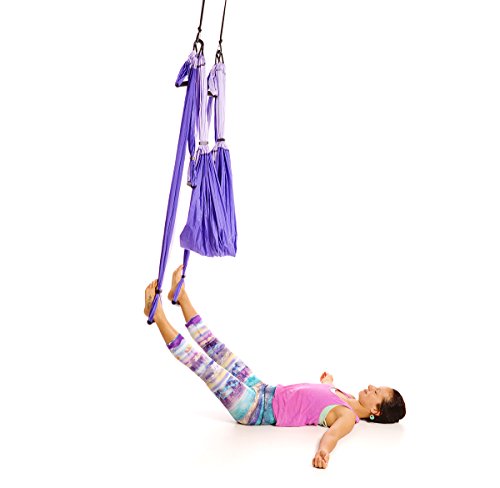 Yoga Pilates Swing/Sling/Inversion Tool - Anti-Gravity Aerial Trapeze - Air  Flying Hammock Fitness Swing - Relieves Back Pain, Improves your Strength