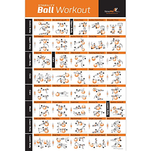 Stability Ball Workout Home Gym Laminated Poster. Exercises for