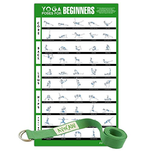 Premium 16”x 24” Yoga Poses for Beginners Poster with 6” Yoga Strap Included - Everyday Crosstrain
