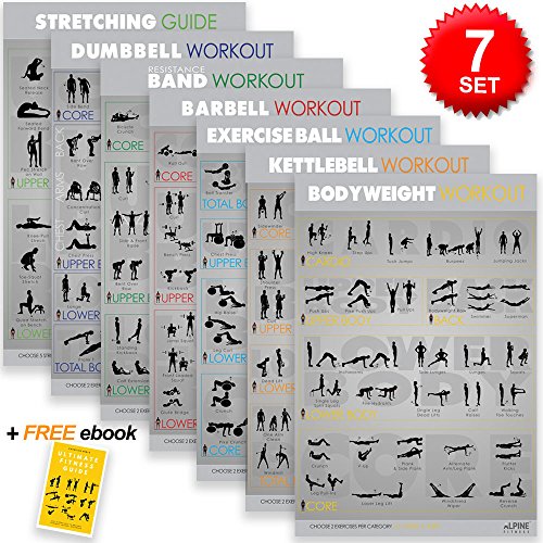 Set of 7 Large Laminated Exercise Fitness Posters for Great Home and Gym Workout - Everyday Crosstrain