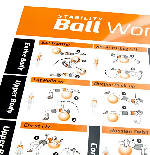 exercise ball leg exercise chart