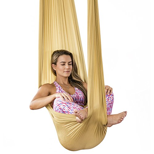 Silk Aerial Yoga Swing. Hammock Kit for Improved Yoga Flexibility, Core Strength - Everyday Crosstrain