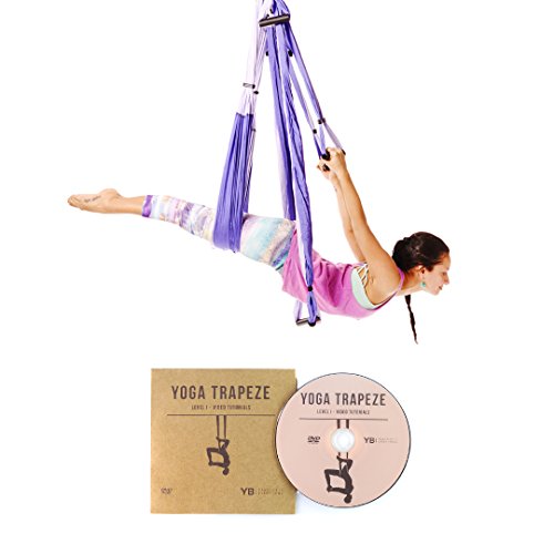 Purple Yoga Trapeze - Yoga Swing / Sling / Inversion Tool For Deep Core Strength - Everyday Crosstrain