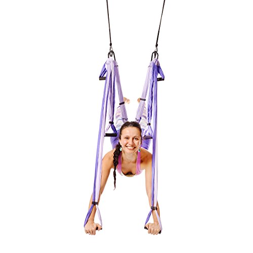 Sotech Aerial Yoga Swing Set, Yoga Sling Inversion Tool for Professional  and Beginners, 2 Adjustable Daisy