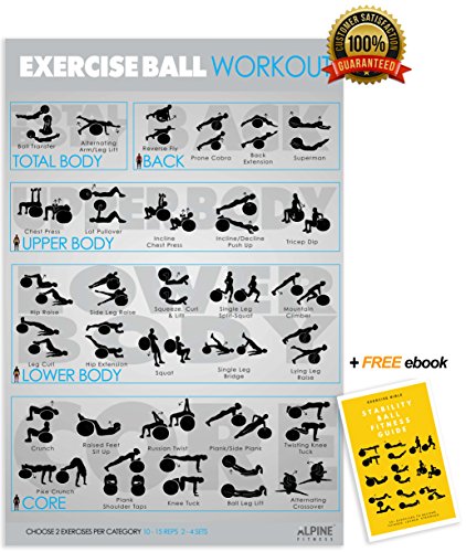 Laminated Exercise Ball Workout Poster and Stability Ball Fitness eBook Guide - Everyday Crosstrain