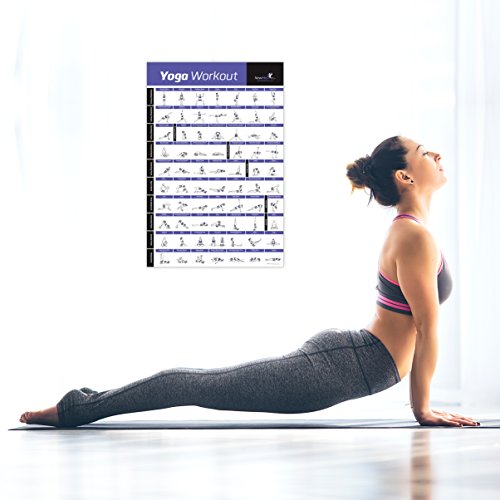 Laminated Yoga Workout Exercise Poster - Premium Instructional Essenti -  Everyday Crosstrain