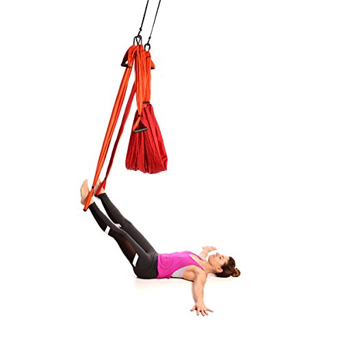 Yoga Trapeze Swing Set for Home & Outdoor | Easy Setup for Strength,  Balance & Back Pain Relief | Adjustable Straps & 600lb Capacity, Includes