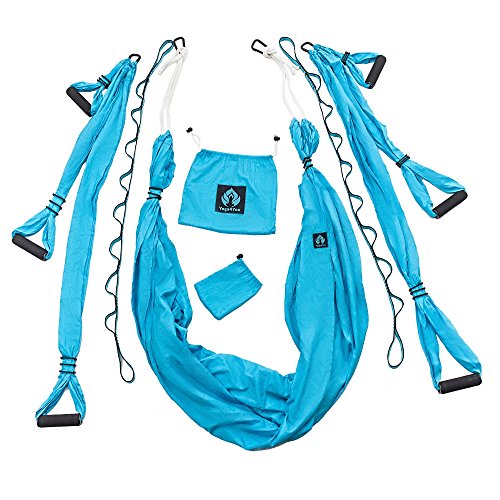 Yoga Swing / Aerial Trapeze Kit with two Durable Extension Straps Plus eBook - Everyday Crosstrain